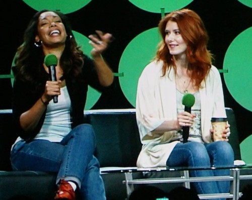 Firefly panel