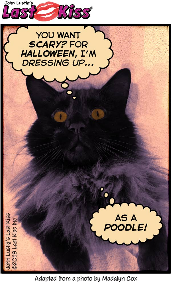 Today's Comic: Cosplay Cat-astrophe