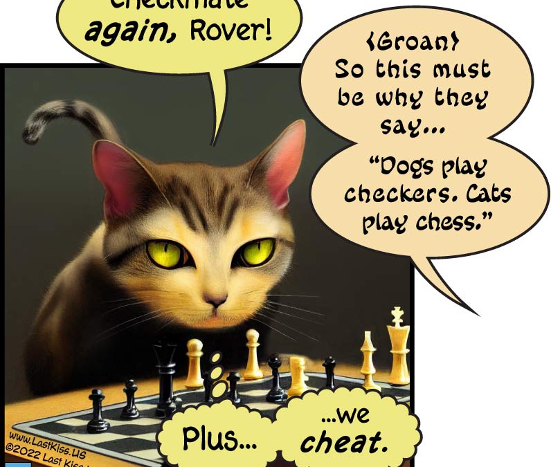 Chess Cat Is Artificially Smart!