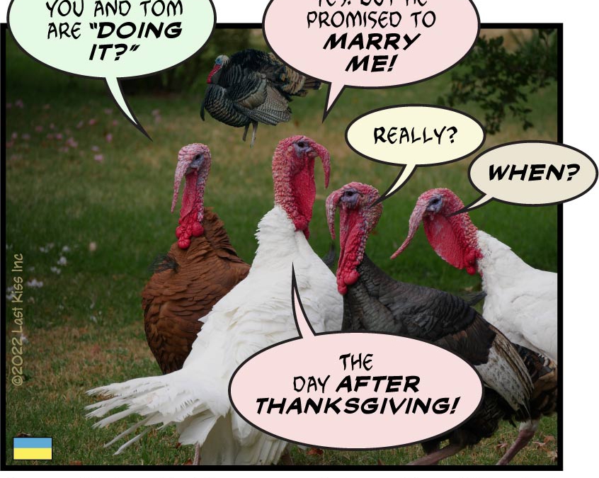 Talking Turkey